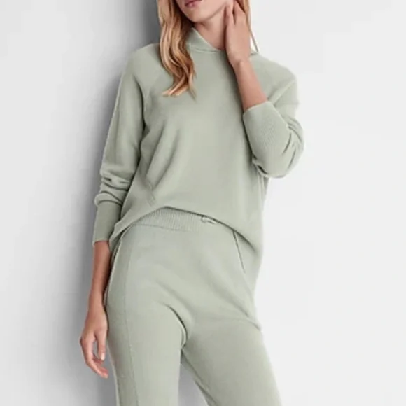 NWT Express Solid Cashmere Hoodie Medium - Picture 2 of 5